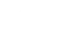 HVS 54S17 Advantage (ADGO54S17/1-24)